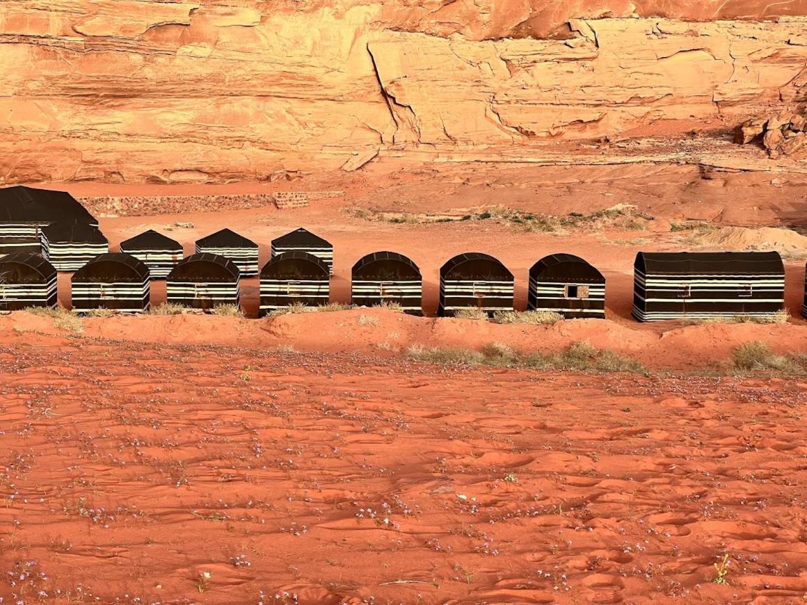 Bedouin Lifestyle Camp Otel Ram Vadisi Dış mekan fotoğraf